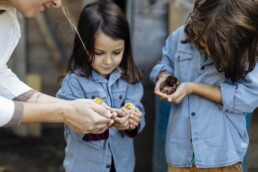 In the farm | Natour Agency